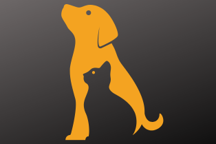 Mentoria Excellence @yarargdias.png